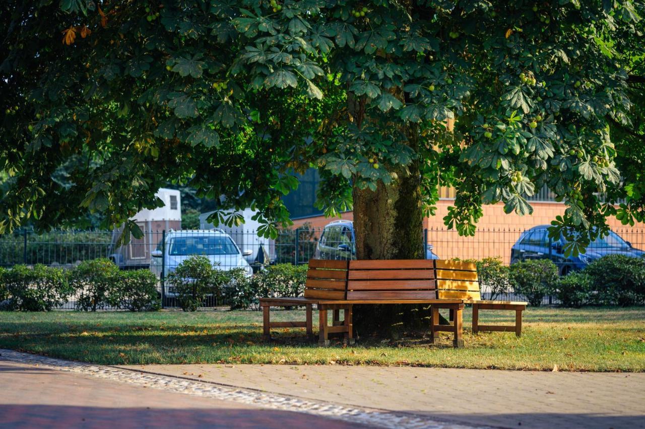 Pferdeparadies Untergruenhagen Bad Fallingbostel Exterior foto